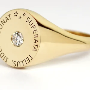 New Gaga. Chevalier ring Rings | Customized Products