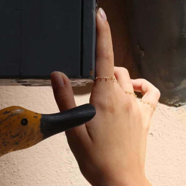 Discount Martina sul ribes. Ring Rings